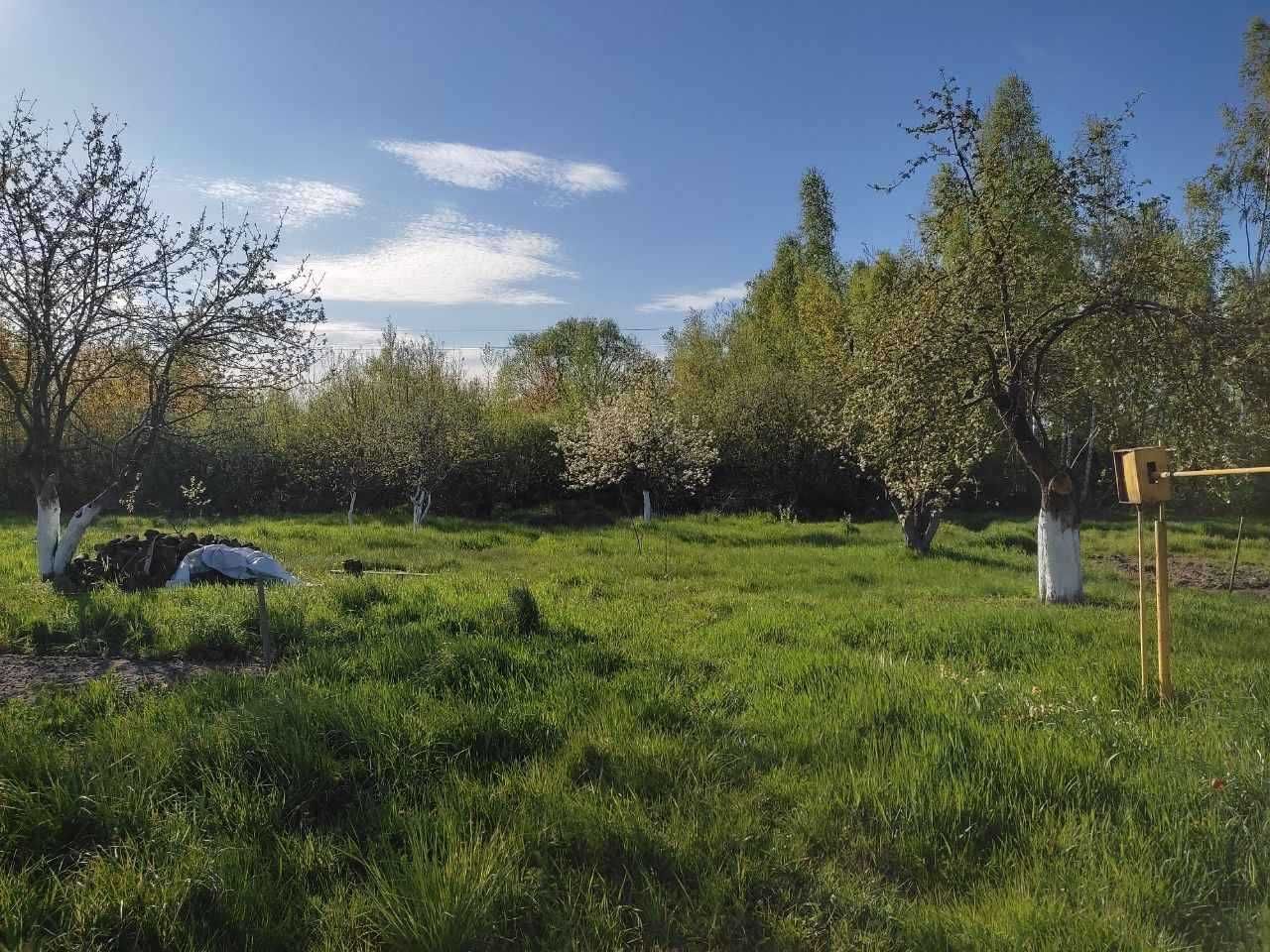 № 13242 - Будинок - 40м2, 30 км від Житомира, в с.Старошийка