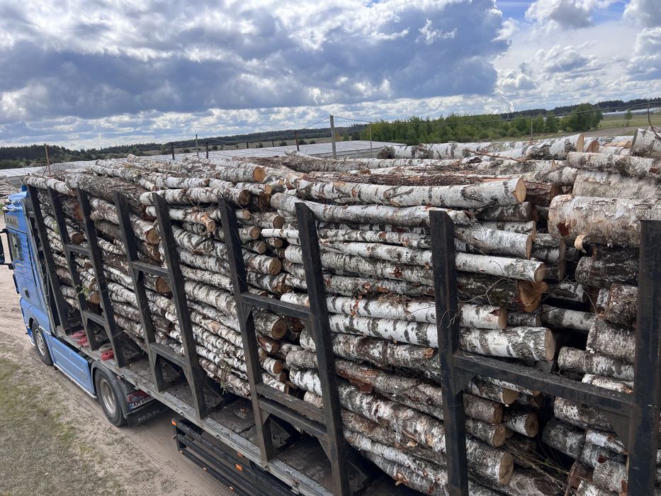 Продам дрова різних порід