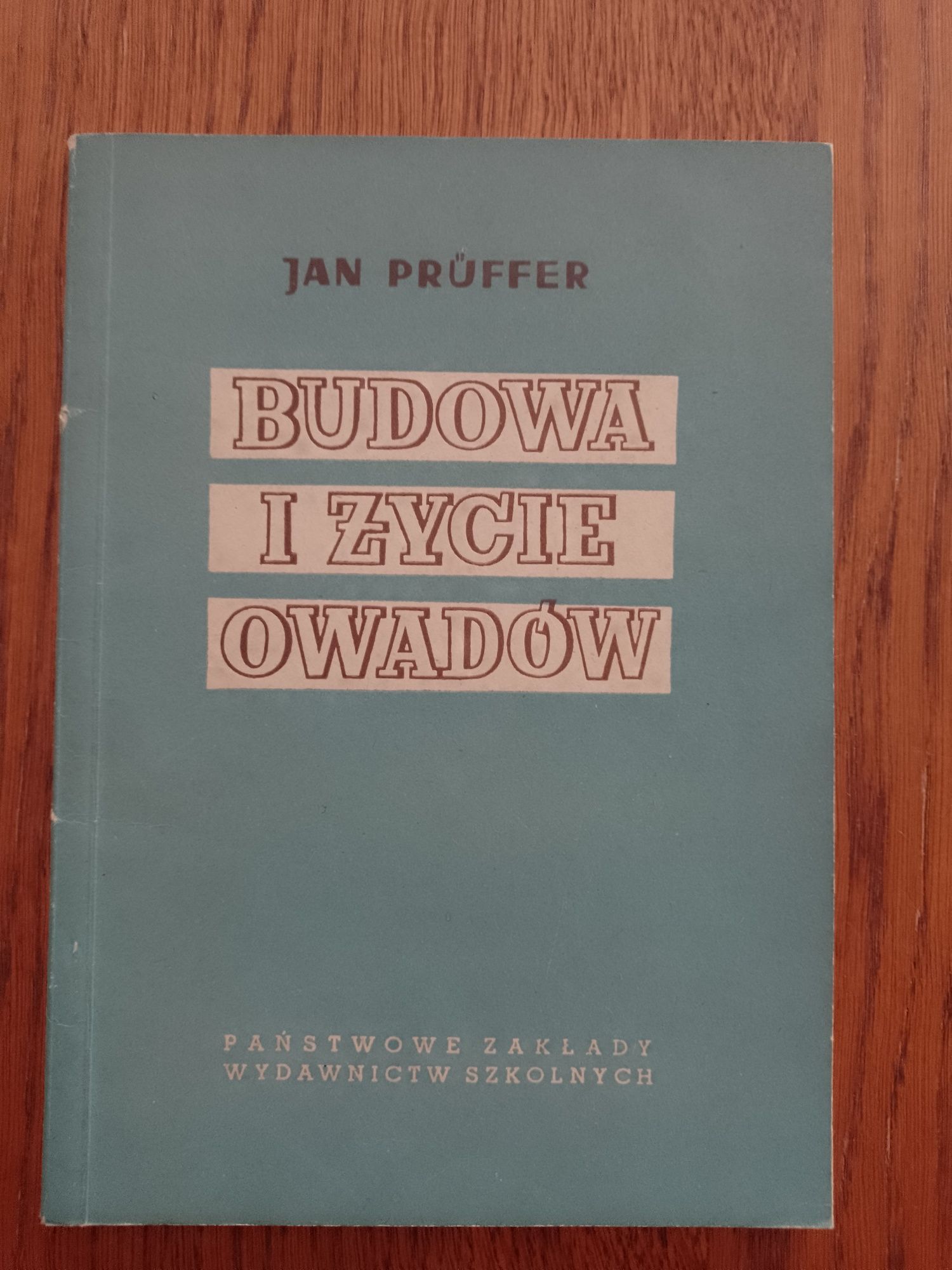 Budowa i życie owadów