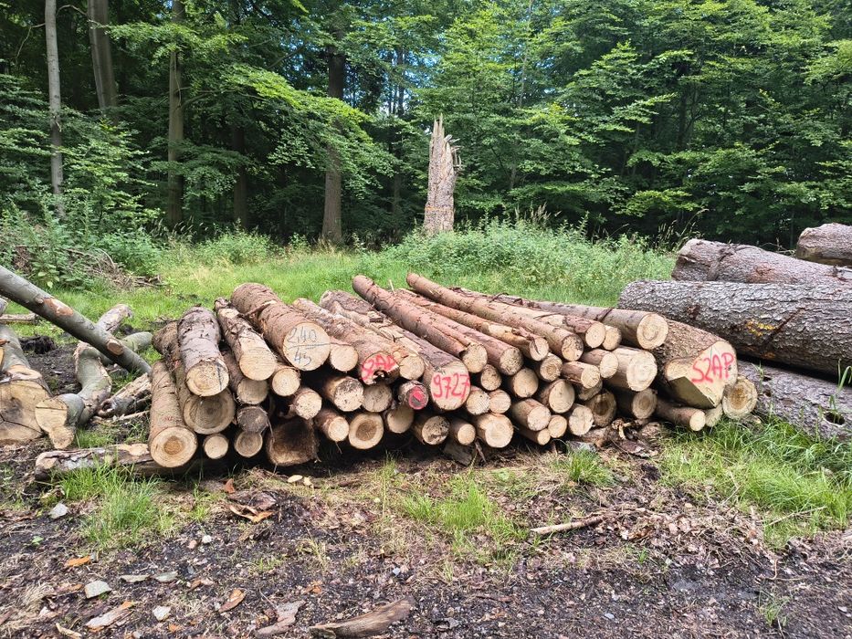 Drewno opałowe świerk