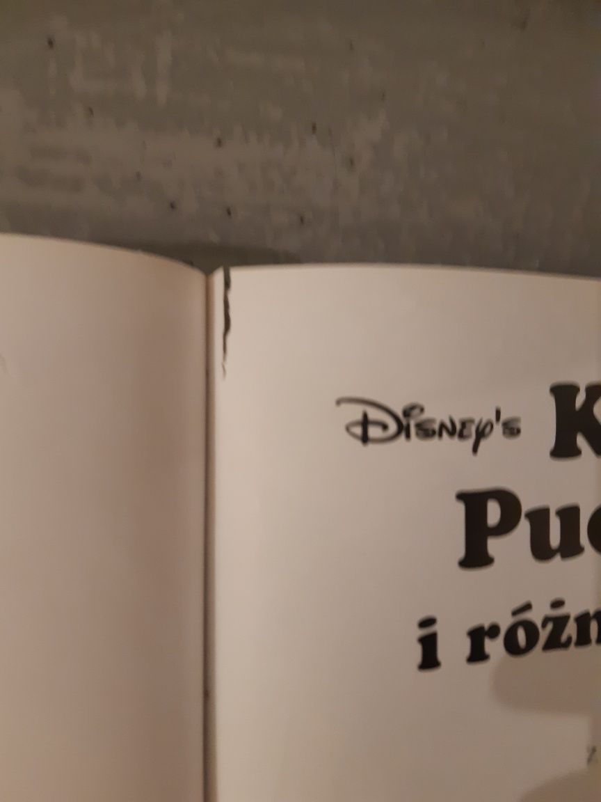 Kubuś Puchatek i różne różności Walt Disney