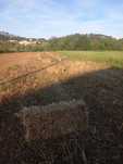 Vende se palha desta campanha