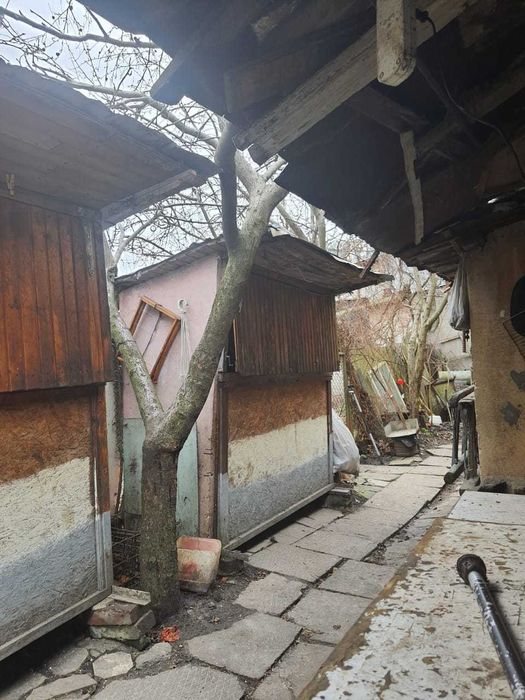павільйони для вуликів