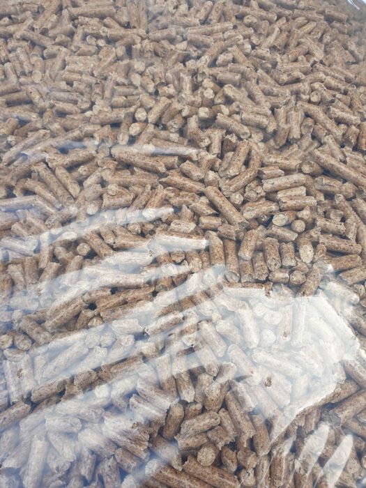 Żwirek dla świnek morskich 15kg odpylony Promocja