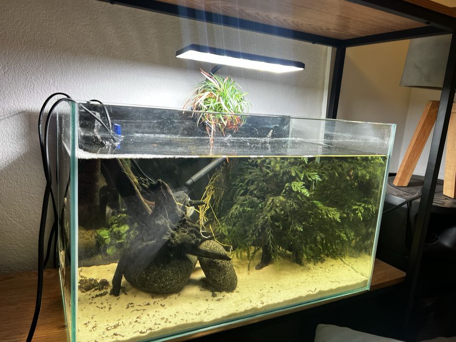Aquario com led filtro e termostato