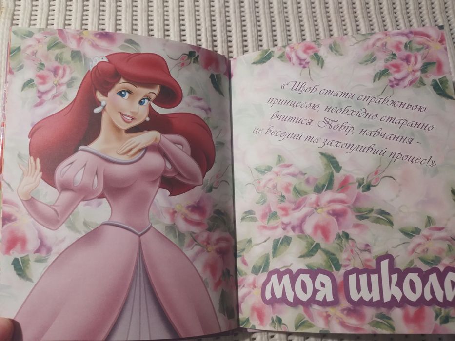 Подарок для маленькой принцессы (дневник, кошелек, браслет, веер)