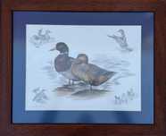 Quadro Nigel Hemming 1986 – patos selvagens com moldura