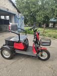 Триколісний Електроскутер FORTE S1 Red