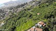 Terreno  para venda