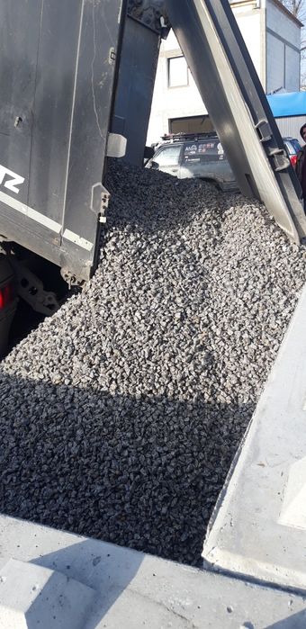 Dalmatyńczyk,  grys granitowy szary 16-22