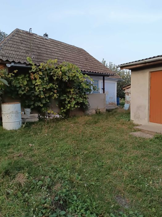 Два невеликих будинки  під дачу