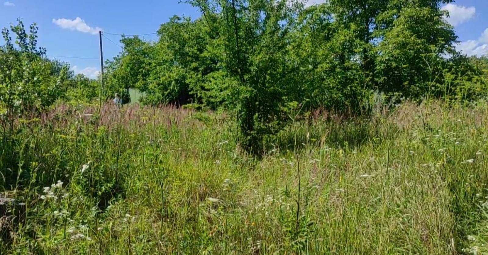 Продаж земельної ділянки Лісовогринівецька сільська рада, 10 соток