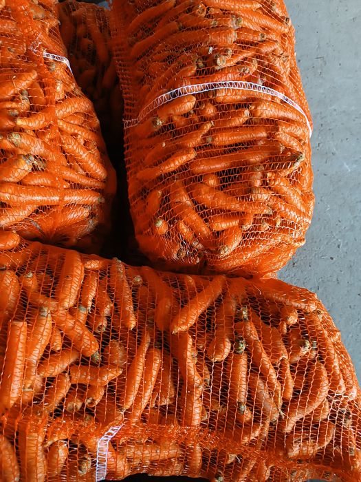 Sprzedam marchew ziemniaki