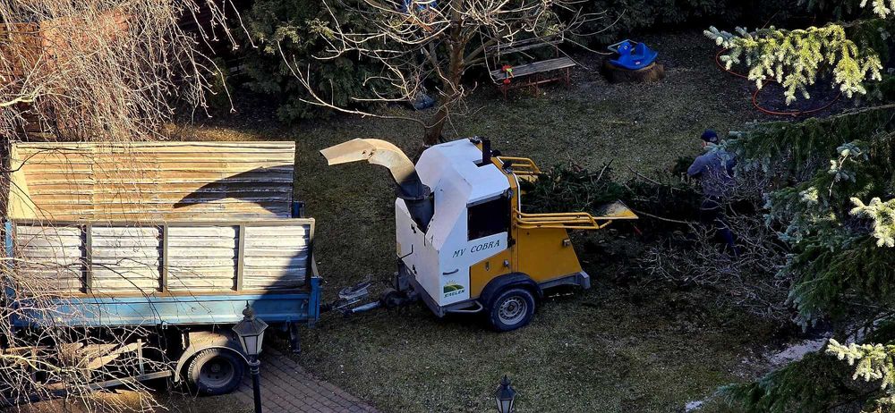 Wycinka i Pielęgnacja Drzew,podnośnik,rębak,Alpinistyka, Czyszczenie