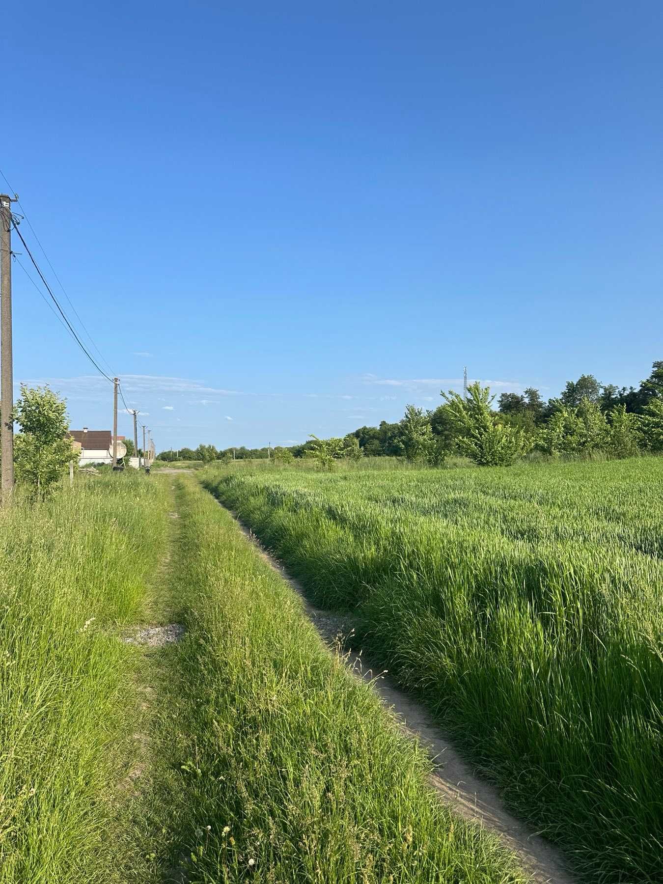 (5) Продам земельну ділянку в Лукашівці 4422