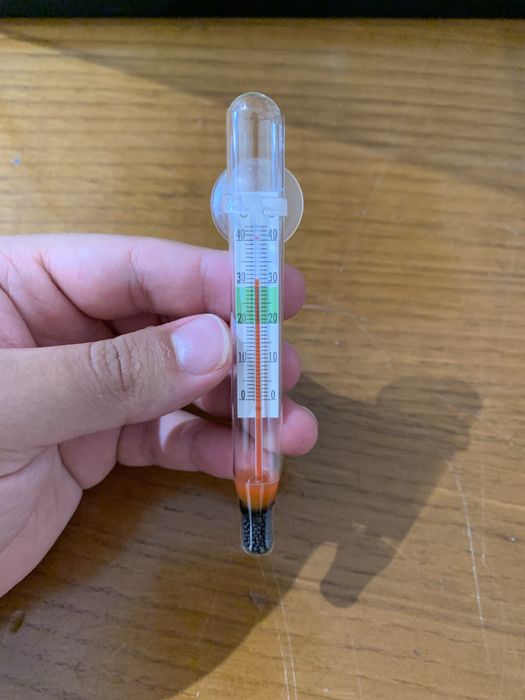 Aquário 15 Litros com Filtro, Termometro e Acessórios