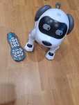 Pies robot Dumel
