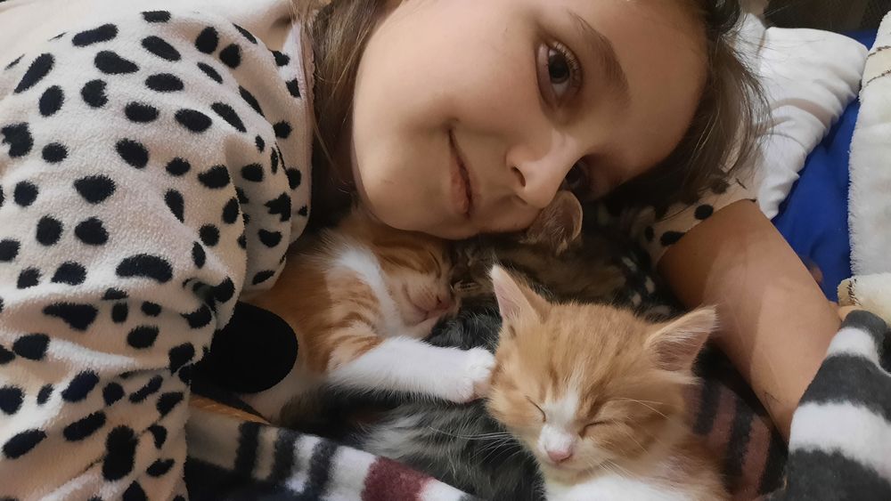 Маленькие детки  ищут маму