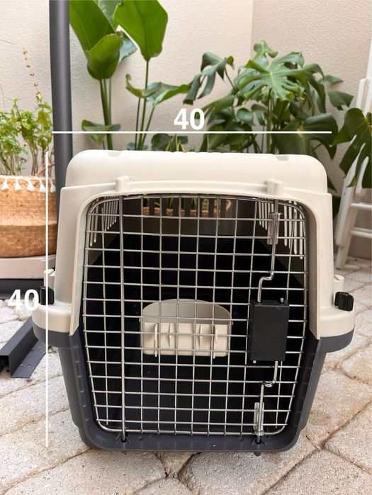Caixa IATA transporte de animais S