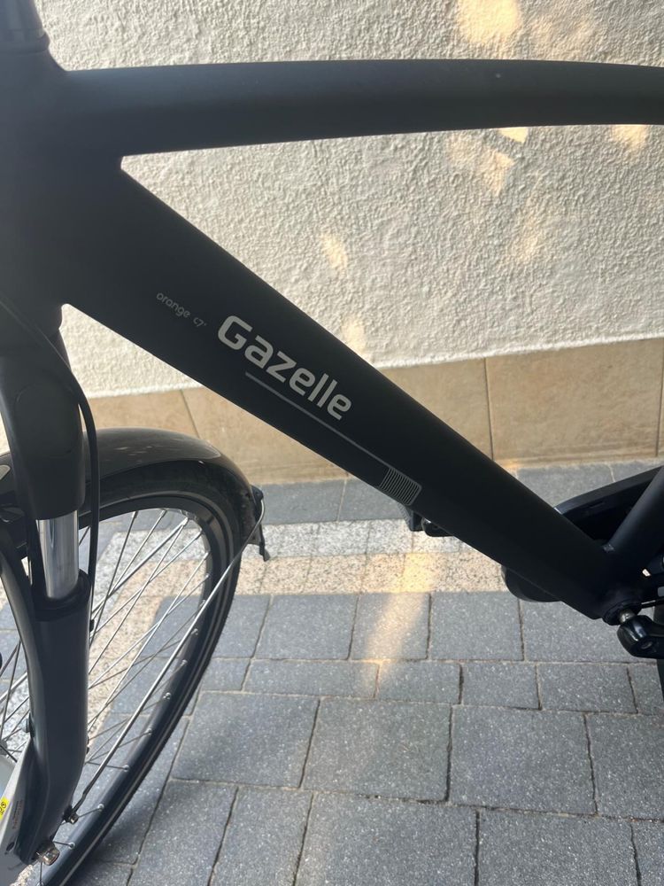 Gazelle Orange C7+