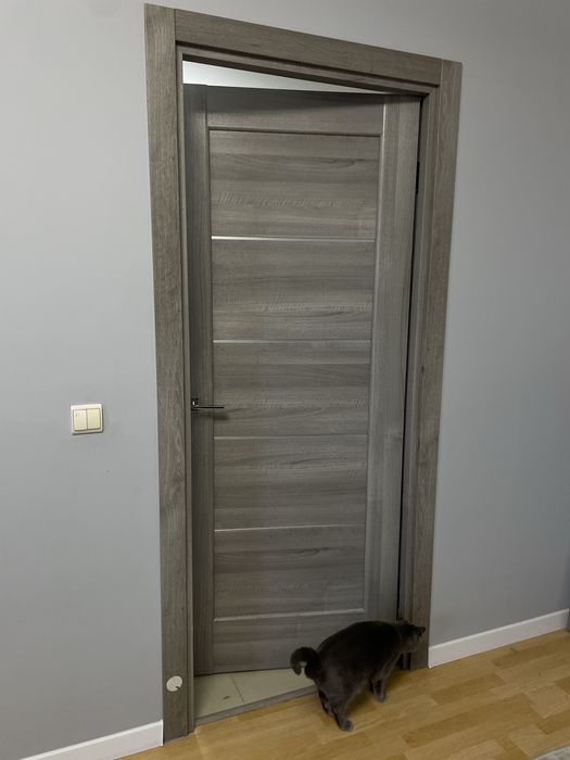 Міжкімнатні двері