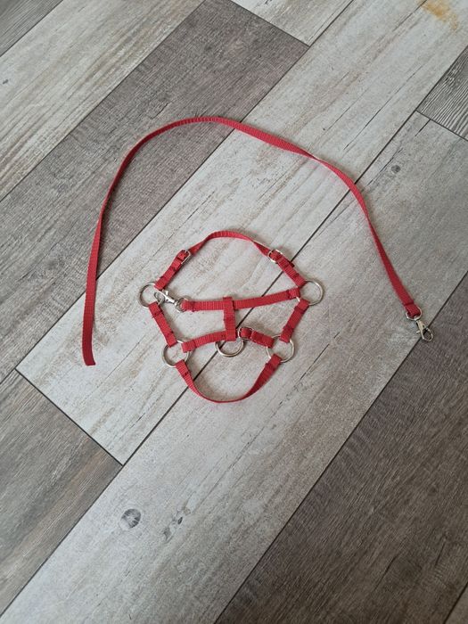 Gniady Hobbyhorse A4