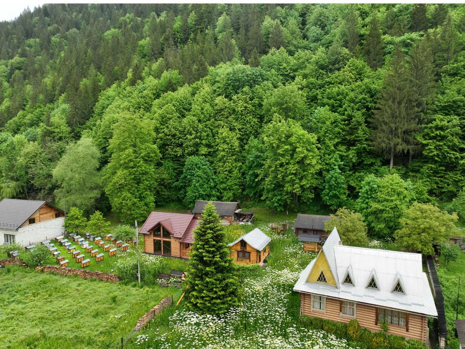 Здам подобово два дерев'яні будинки в Карпатах: Маєток  «LINDEN GROVE»