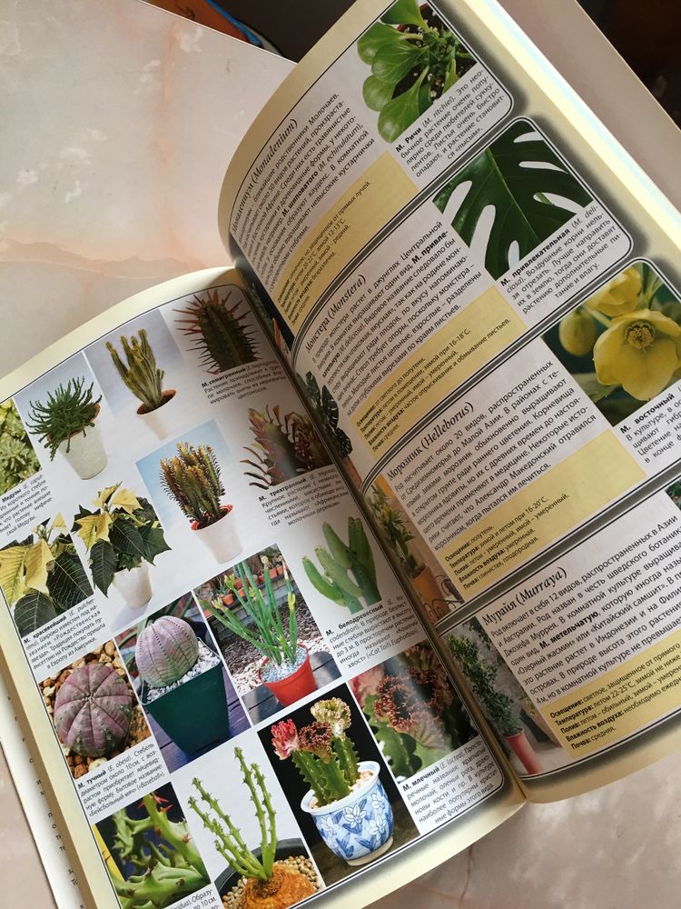 Книга Все о комнатных растениях