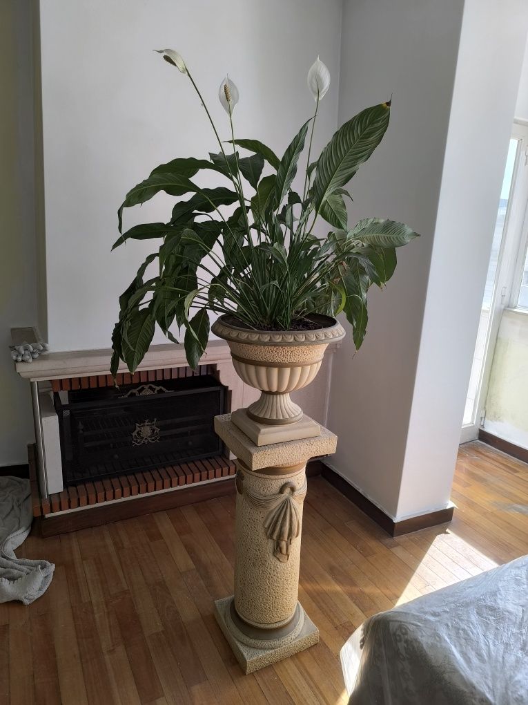 Vendo coluna de suporte para vasos