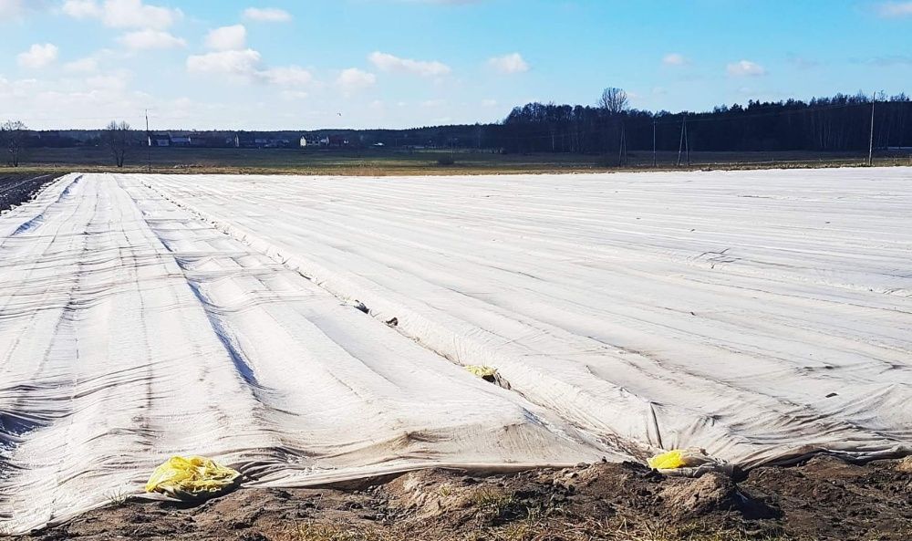 Agrowłóknina okryciowa 15,80x100 P23 wyprzedaż 850 zł !!!