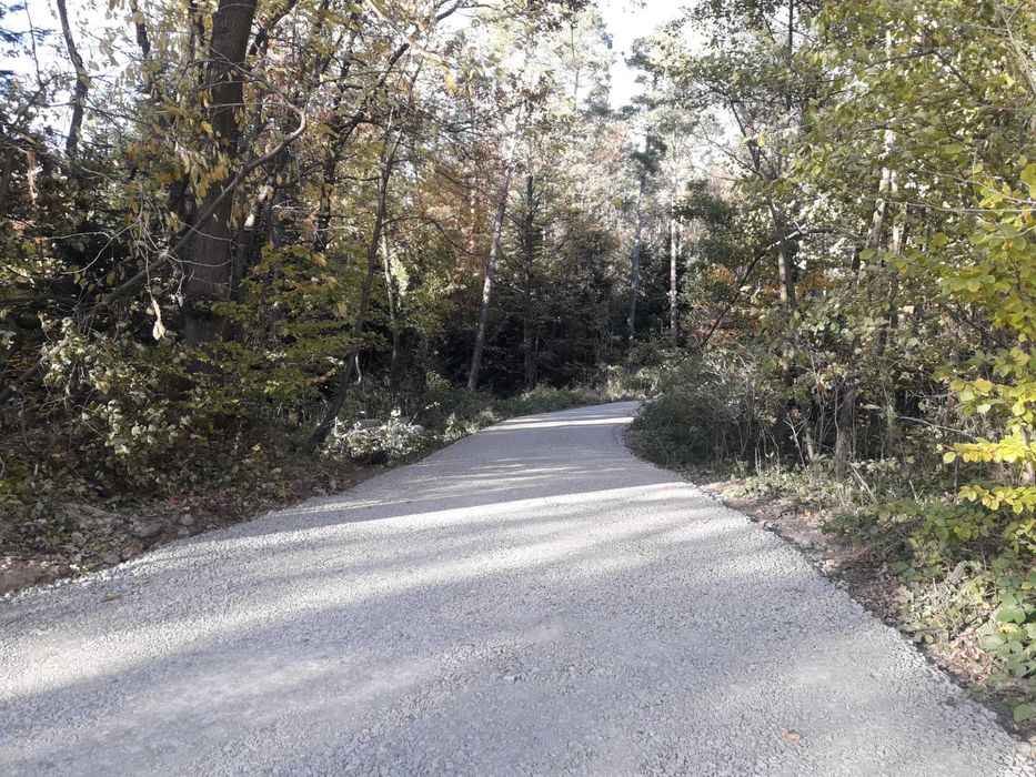 Budowa dróg, parkingów, podjazdów, zjazdów