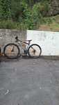 Bicicleta rin 29