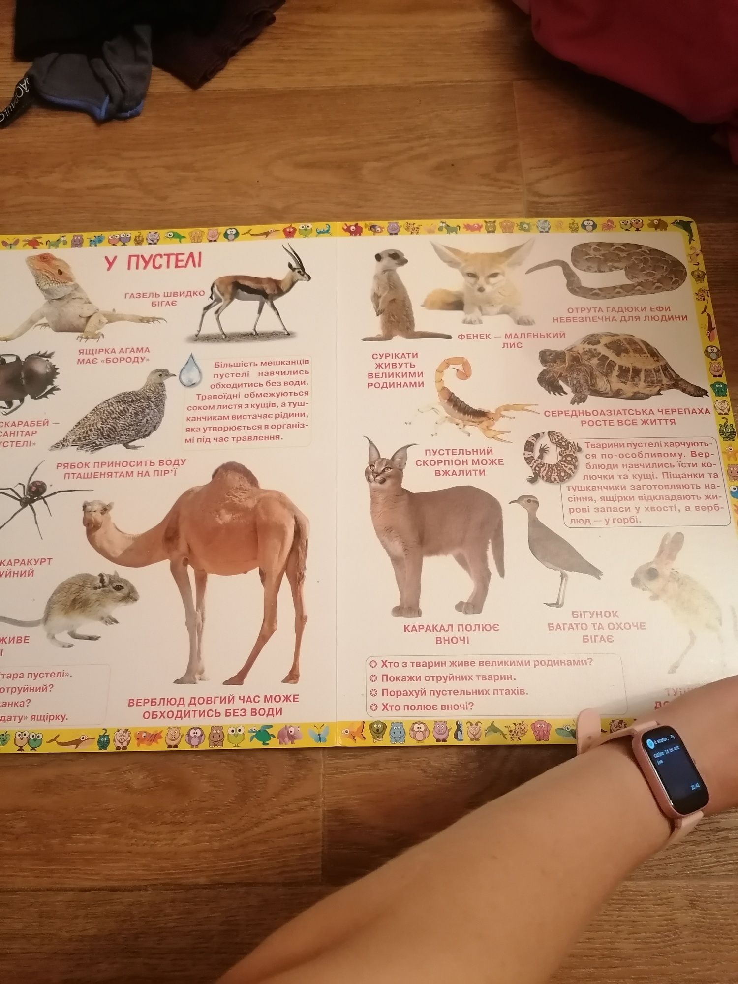 Книга про животных, книжка про тварин