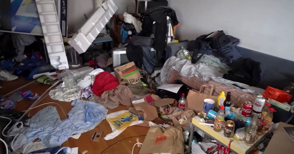 Sprzątanie Mieszkań – Własne Środki w Cenie!