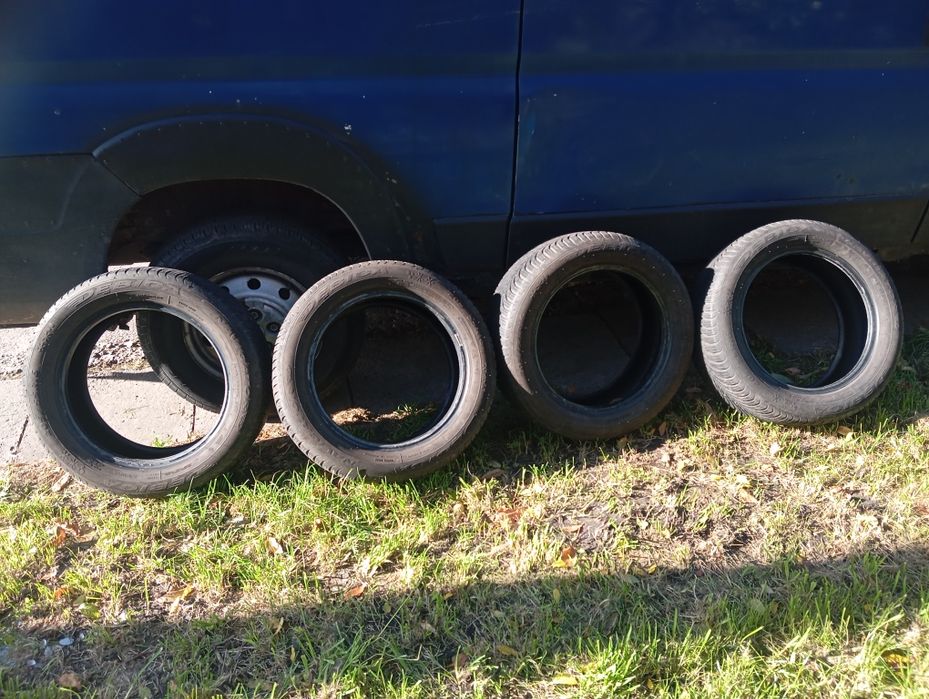 Opony Całoroczne Dębica Navigator 3 205/55 R16 94V Komplet