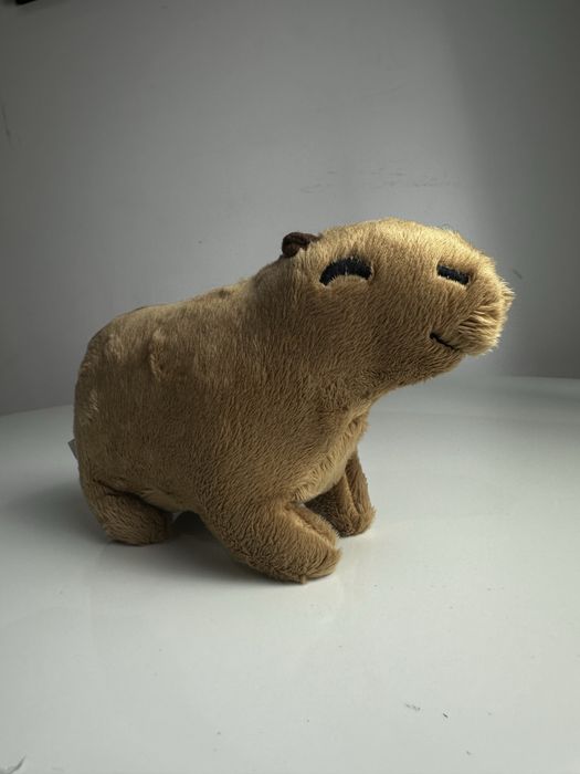 Nowa uśmiechnieta kapibara