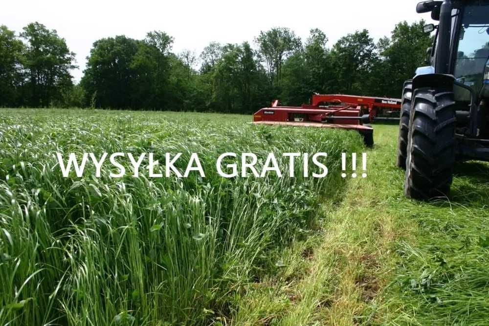 Mieszanka traw łąkowych nasiona paszowe dobra cena wysyłka gratis!