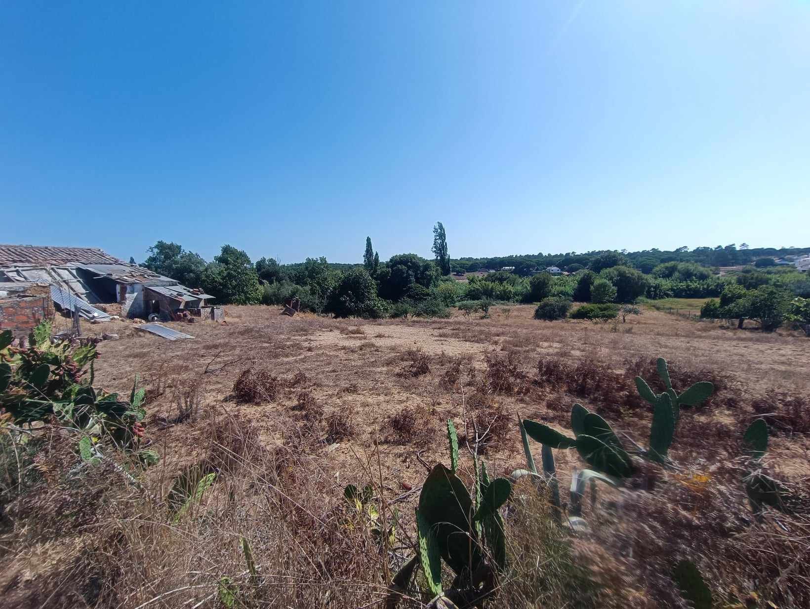 Terreno com 2 casas em Ruína