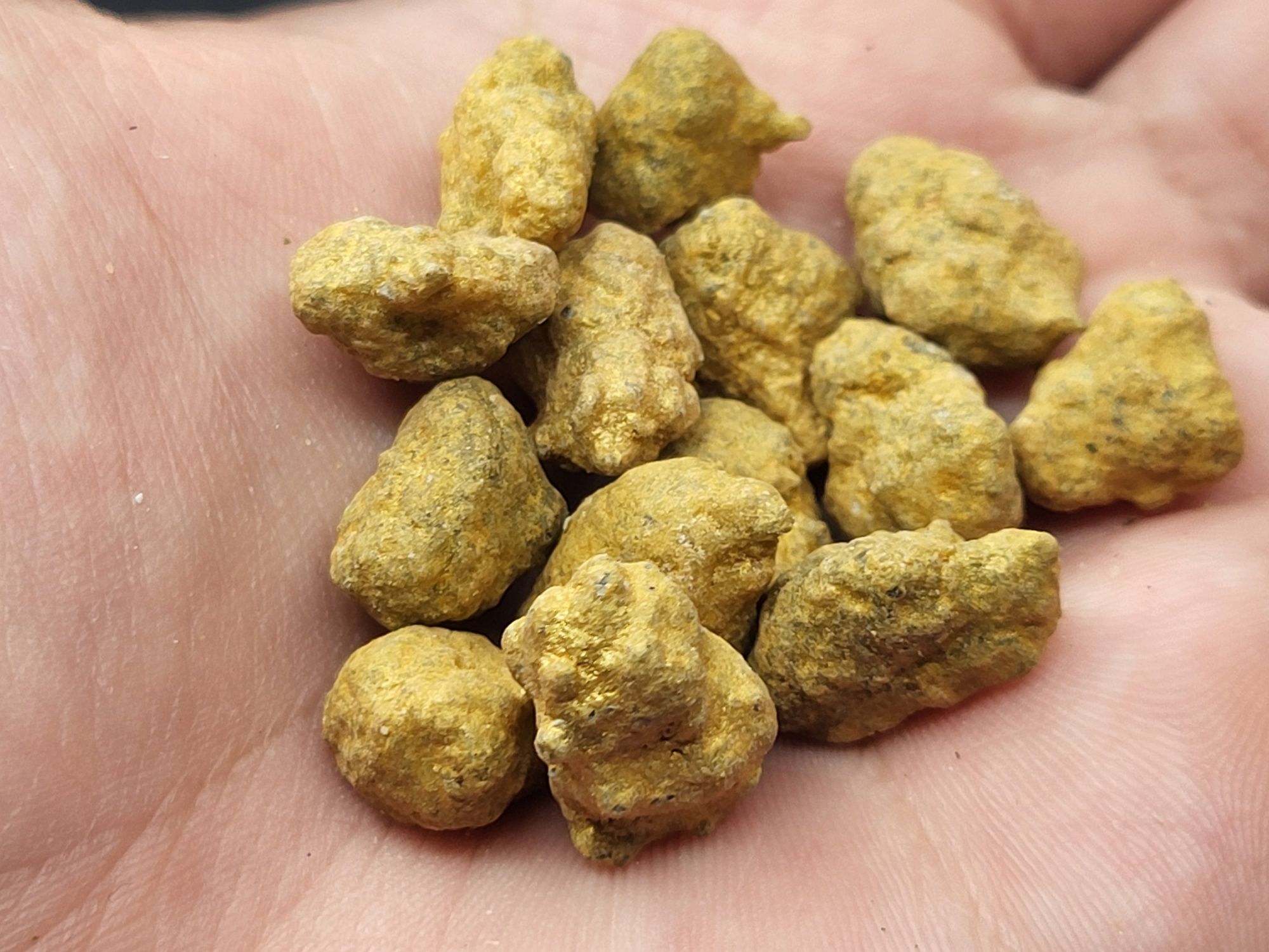 Legalny Susz Konopny CBD Gold Rock ~75% CBD < 0.3% THC 1 gram
