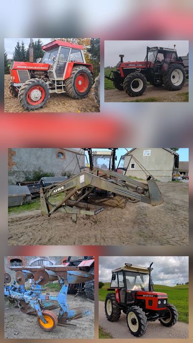 Zamienię na bydło mięsne