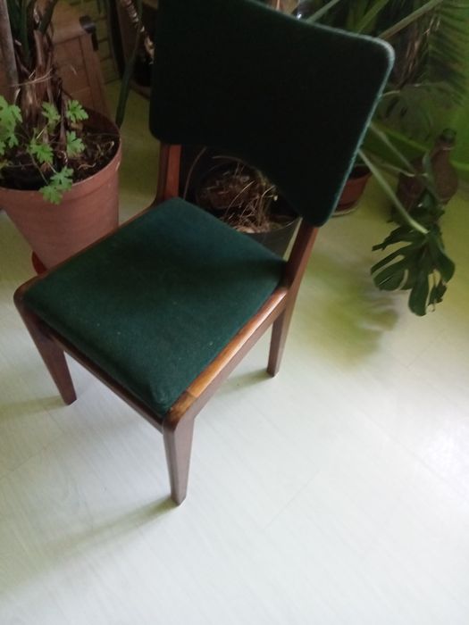 Krzesła Teofil Hałas Vintage