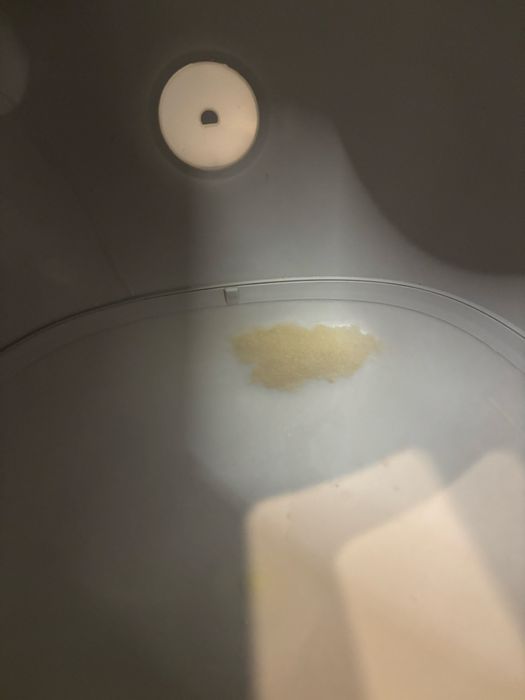 Caixa areia automatica hholove