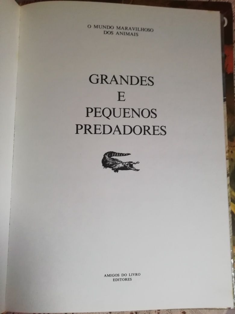 O Mundo Maravilhoso dos Animais