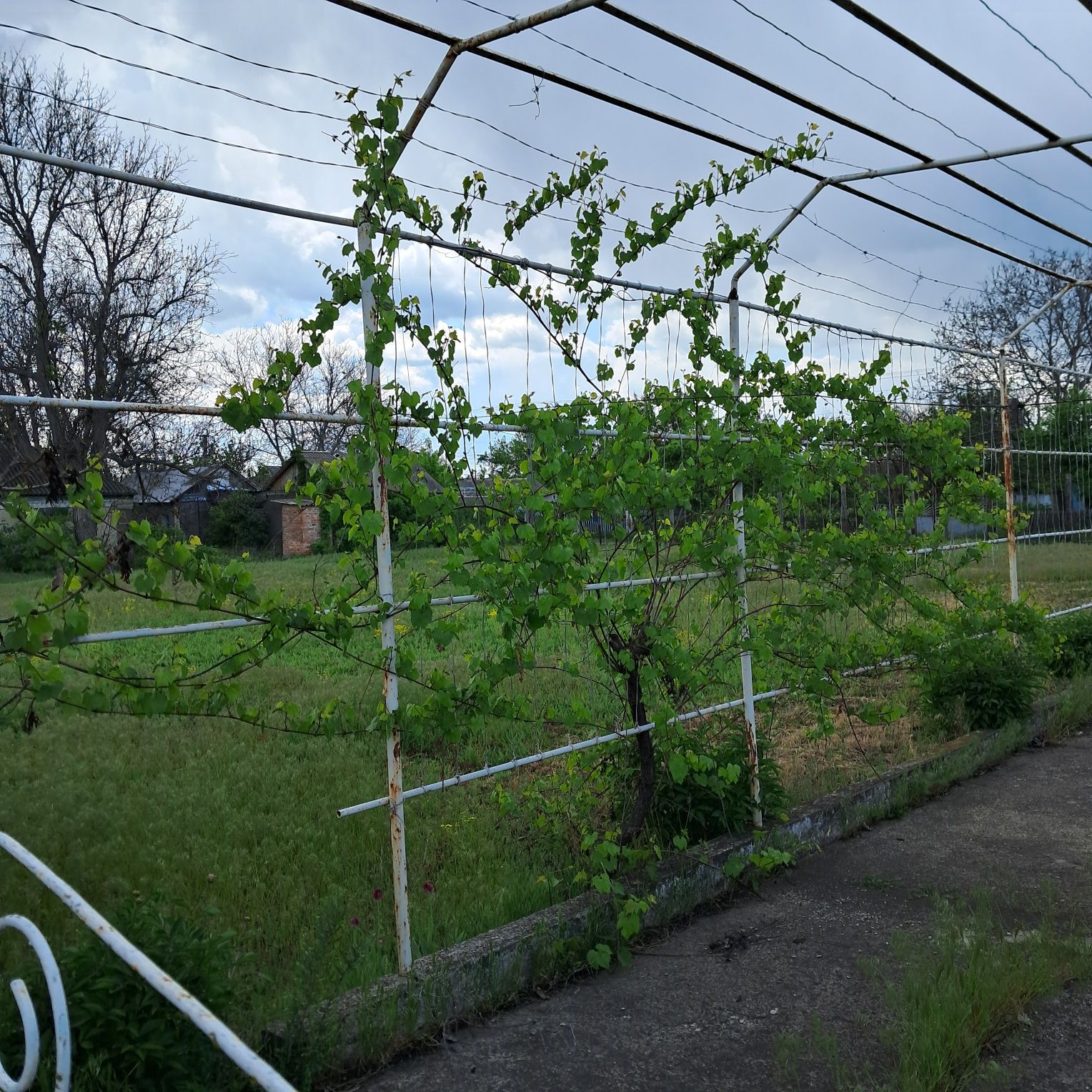 Продажа часного будинку