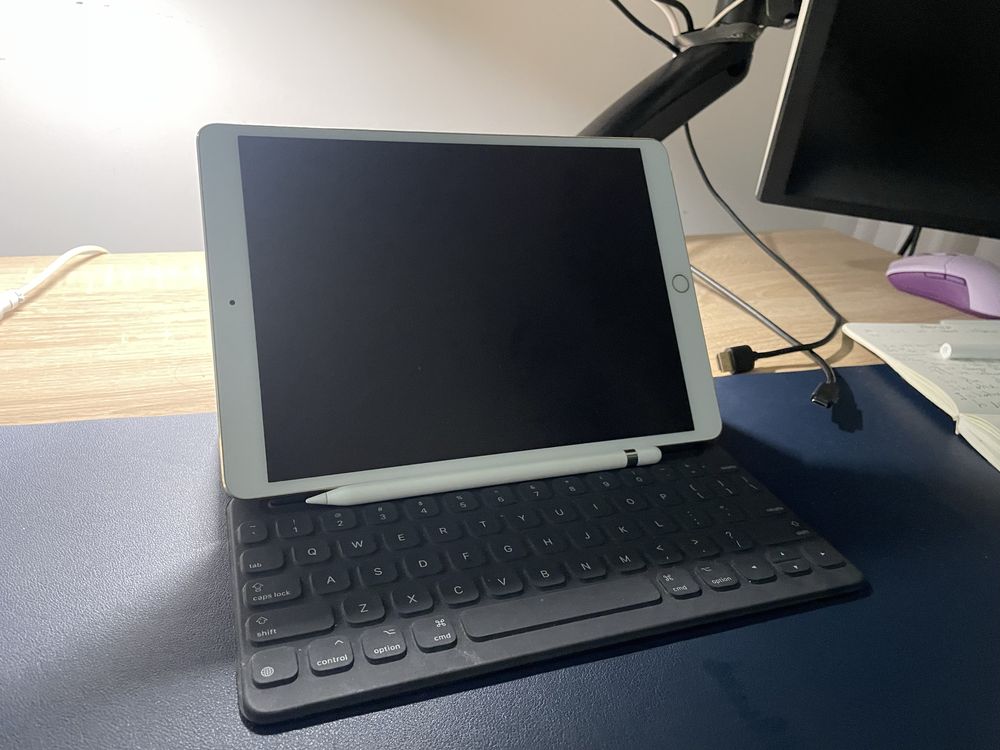 Ipad Pro 10.5 + Apple Pensil