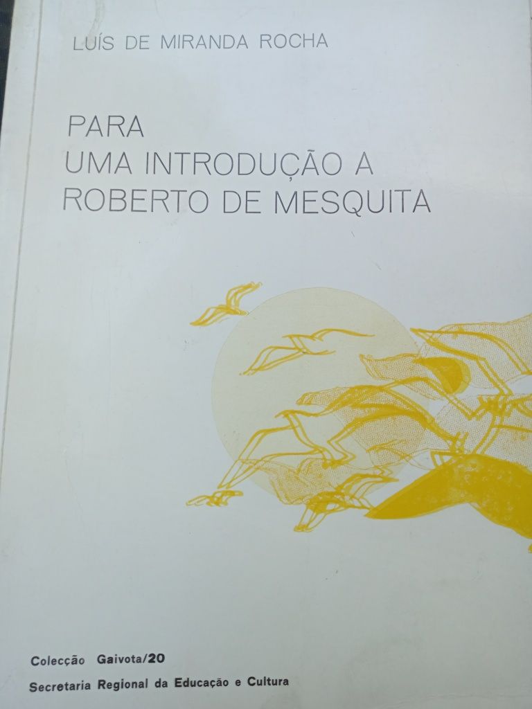 Roberto Mesquita para uma introdução