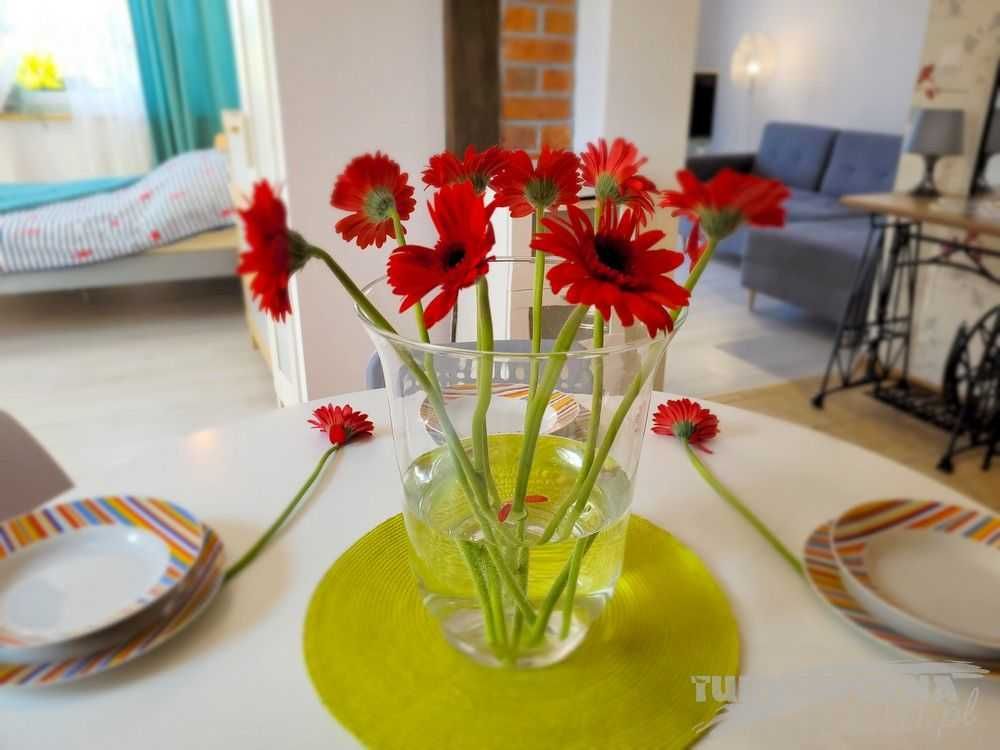 Apartament MNICH k. Ustki w Przewłoka