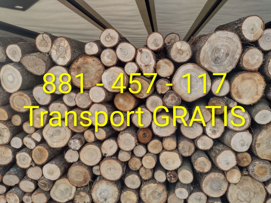 Drewno opałowe transport gratis