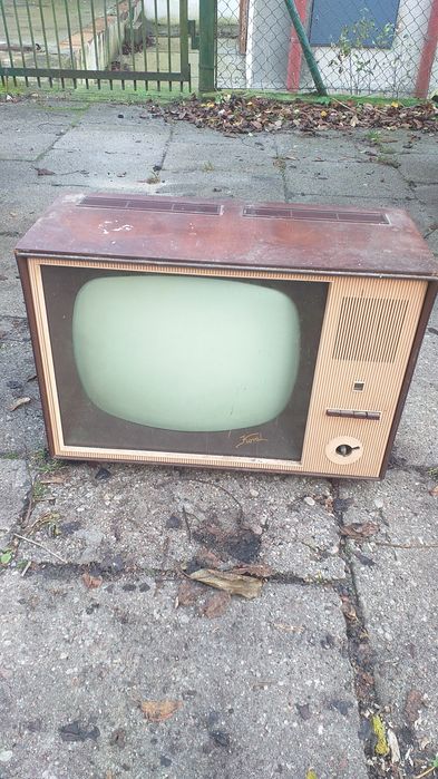 Telewizor koral dekoracja