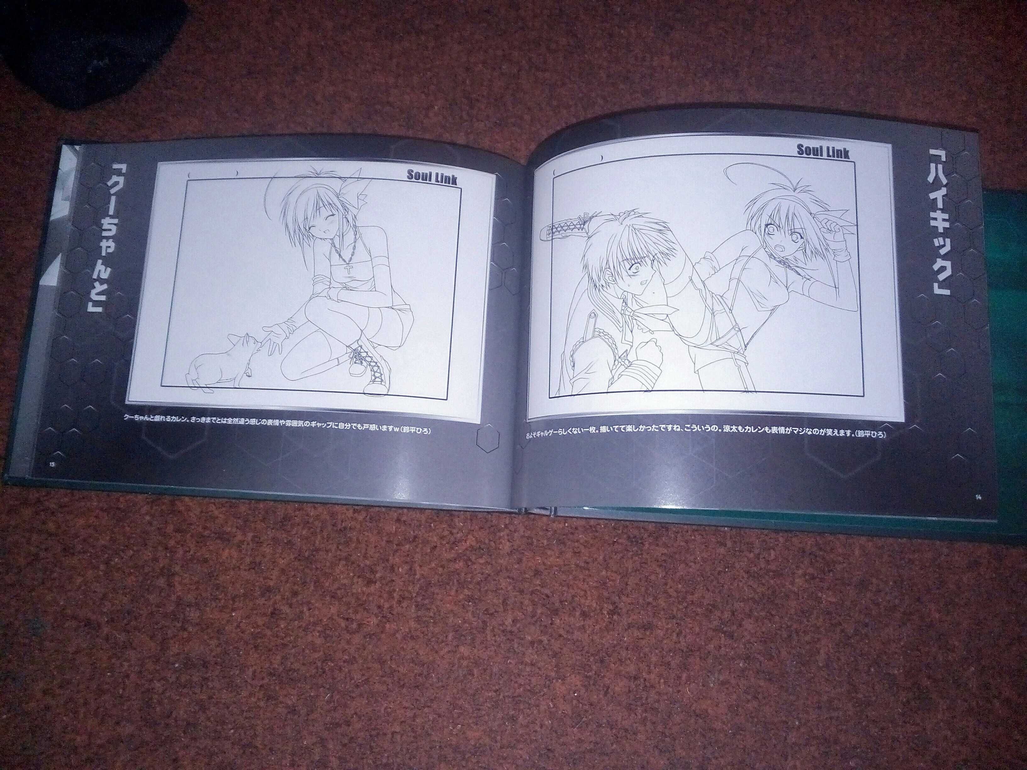 Artbook z Japonii anime SOUL LINK